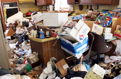 Minnesota Hoarding Task Force