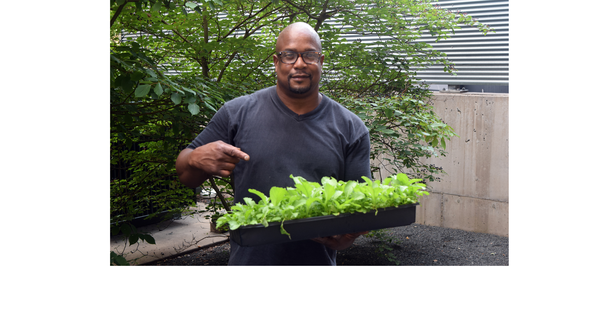 The Backyard Initiative is a community driven health initiative