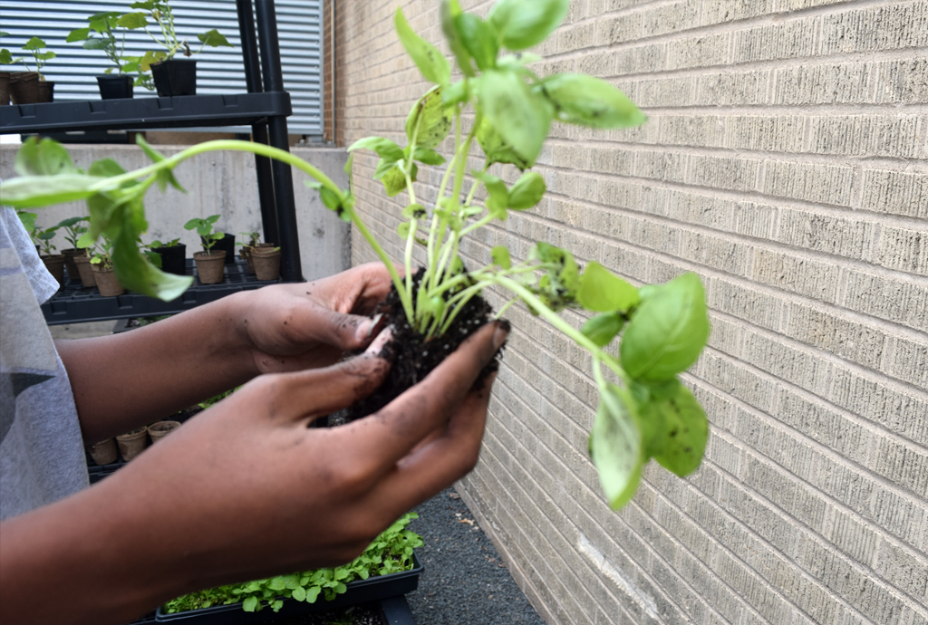 The Backyard Initiative is a community driven health initiative